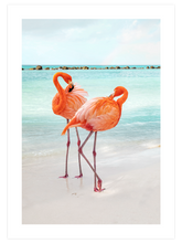 İki Flamingo - Art Print